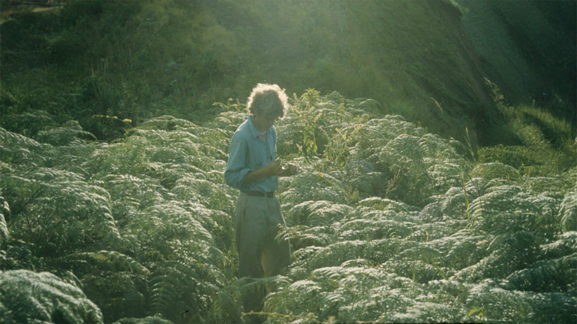 b34d3a3cac2b5c665d2c6ab25cc7a713b964bd26