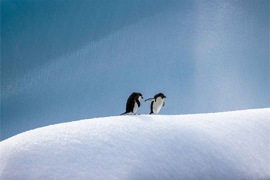 b53087fb5876e3a698a8c18bd9d8862fc6be5b09