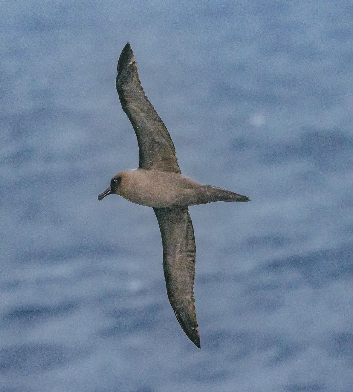 b5d27f08e3a3b86ac772fc1021df444d4b2a6134