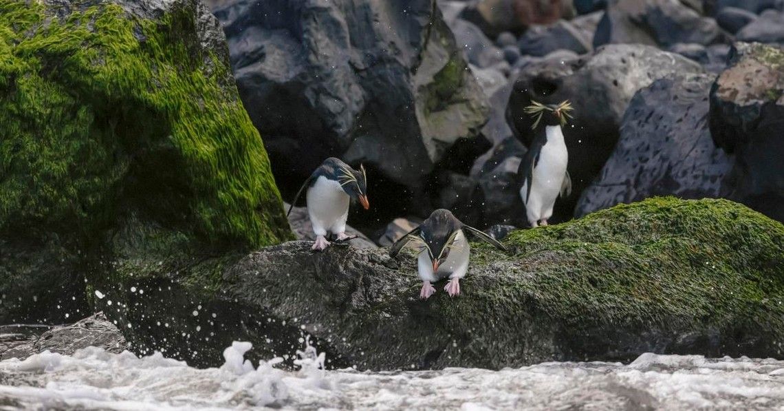 b88e701f21fe5cebed61c4fa894511a8e5533bf2