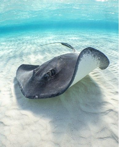 bb5519b32e032e871a78185ef04d2f28e65f9aa5