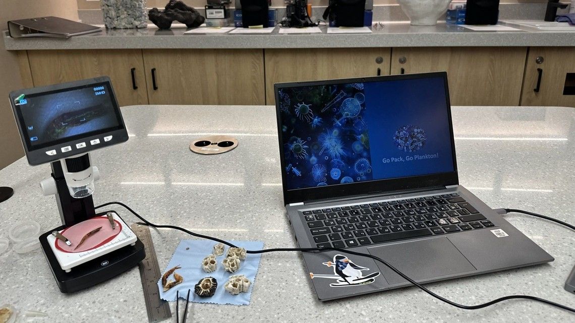 bb7a3ce08ef7a808723a3e7753dd52623ff68825