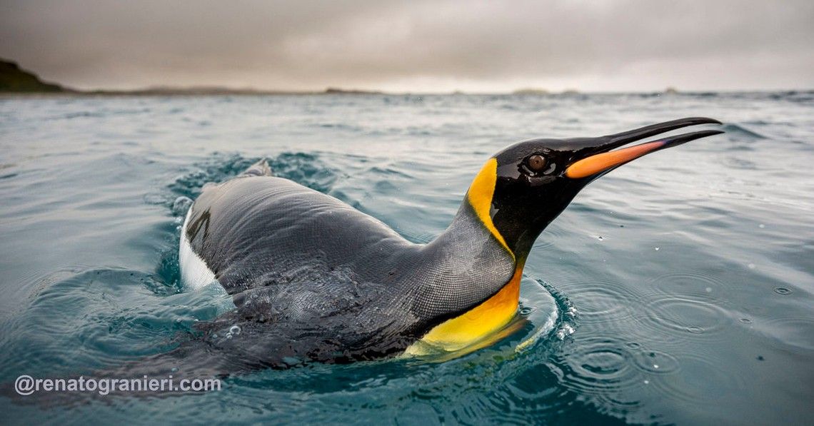 bbd62e9508b5c9349924fa0330c0a8cb014f43d0