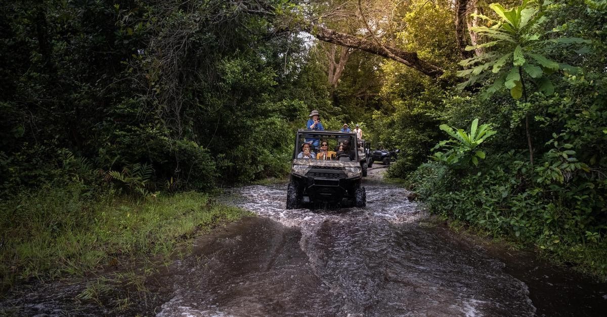 bc7aaf6cc19e9b3129ec985b4d36068571eb404e