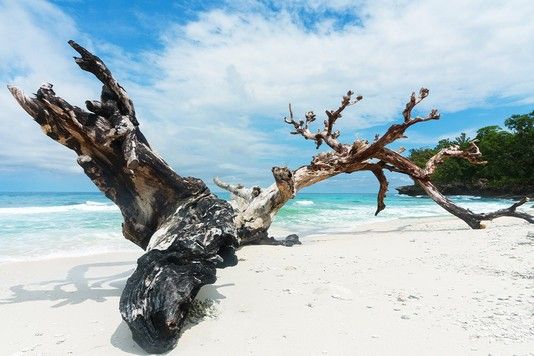 bc9d6aac226f1afb1455cd26c88fb852dc33d92b