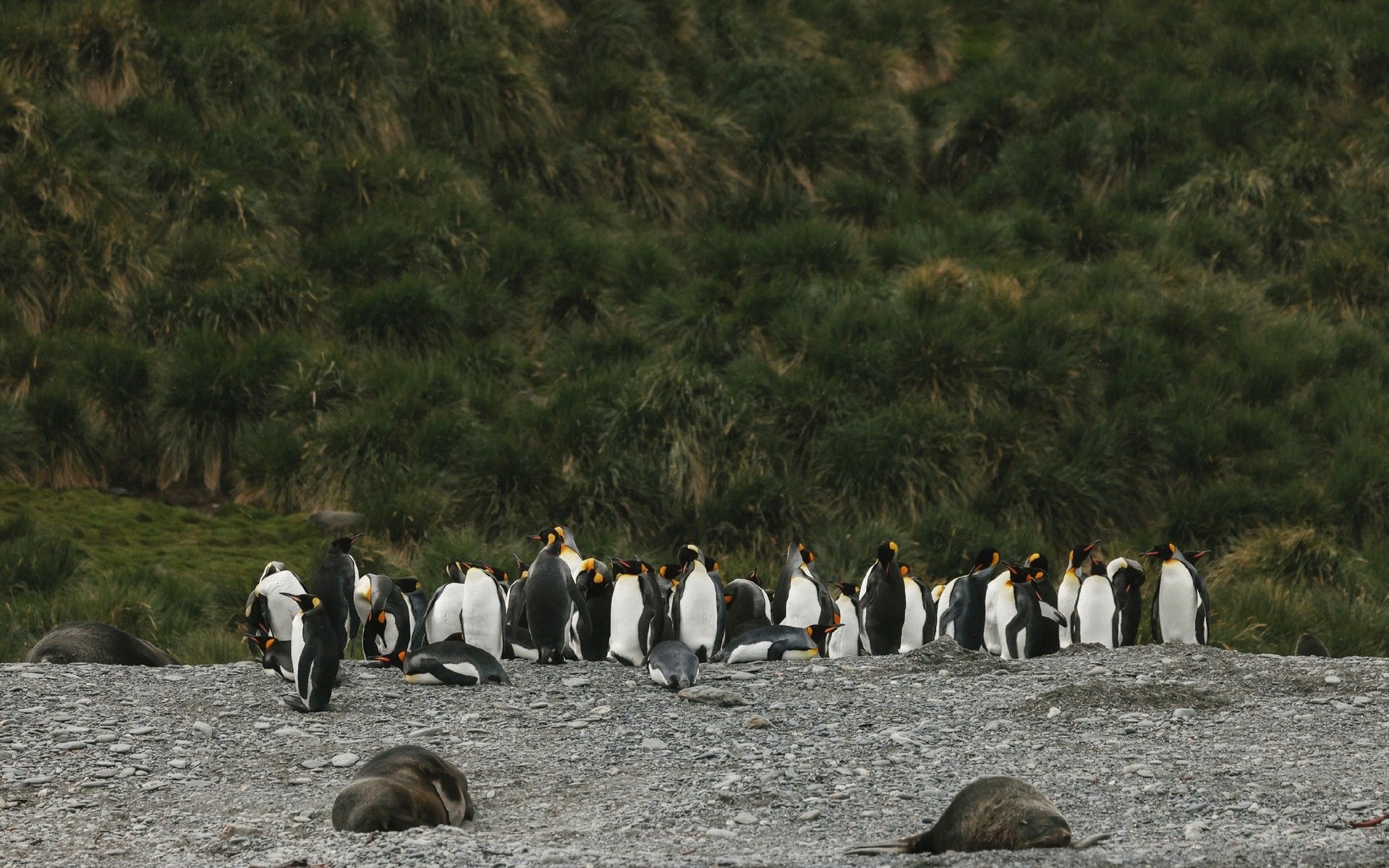 be04ae067c2938b985a8858fa5ad36fc891c7565