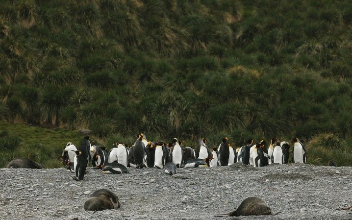 be04ae067c2938b985a8858fa5ad36fc891c7565