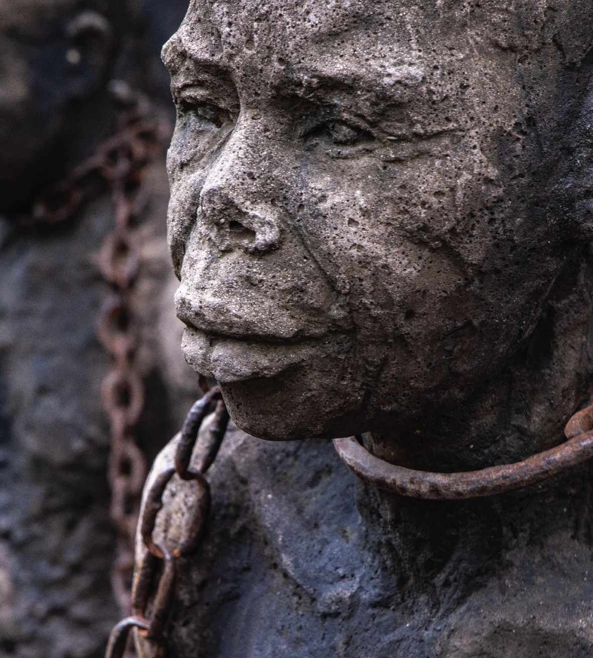 bf233a2b6b15dde819e8d66a0d2e1ab1a95bba22