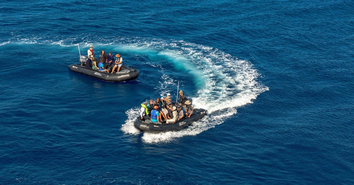 bf75e0dfcf453fd7e7ea119522dcd0485ecc75eb