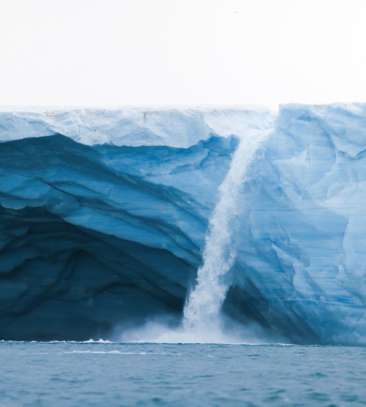 c001883abc77d77a63232189129e37f45fbccb2d