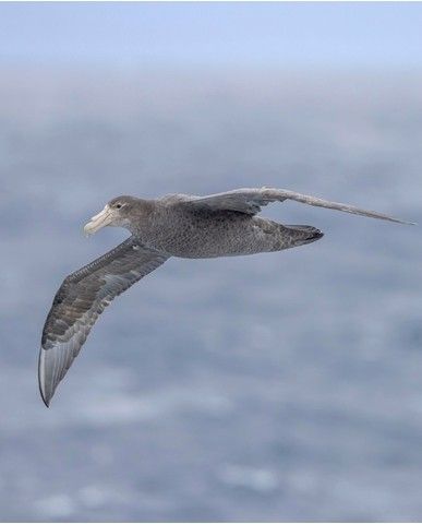 c0c8b3875a2ee271427f29e0556cddd847542817