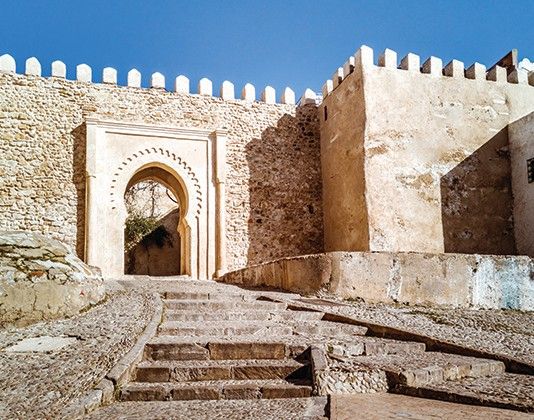 c291a47765976e284ba3ebecf3731013e02bceb5