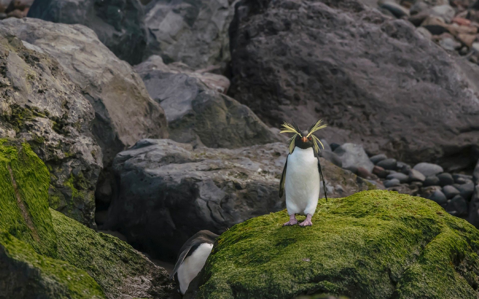 c2ebab1e64afb4891a2c350a01d6a60a57ec33da