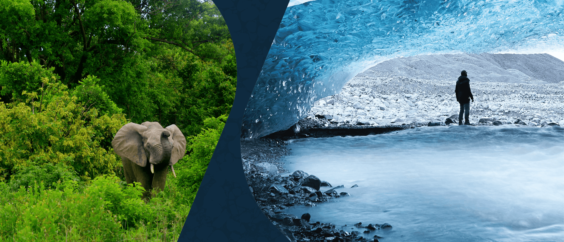 c36acbadec6a7632ac7fc6e3b4715f042b770b46