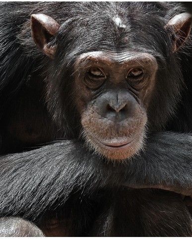 c3bd238ea8d59bbe8c409ef5101a6ad3ce94aeb8