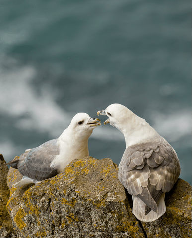 c3dbf23712608b73fa9dac07a3044de83bf9db87