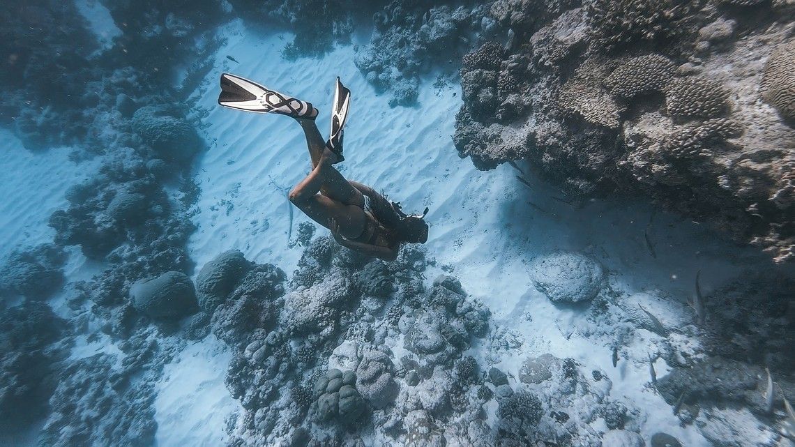 c55ab5584a365dfa31aa2386536dd02bde2129c8