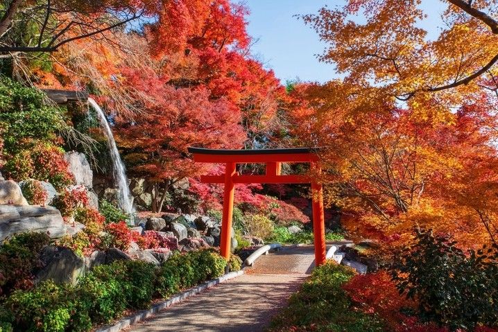 c8288073bac6321c20b771349aec98ba343e9859