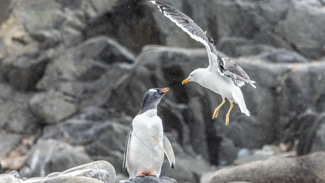 c8bf85bbfd2c84a83b6b4630ff6ba283595479d6