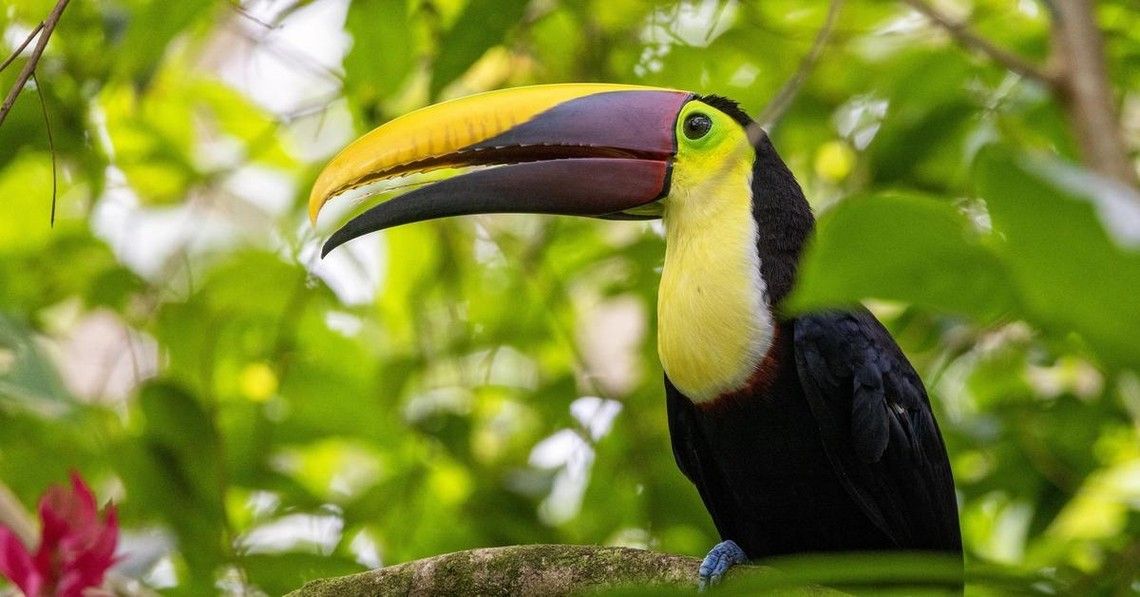 cb9519cca392a37005e2a2c844c1f7da500dad47