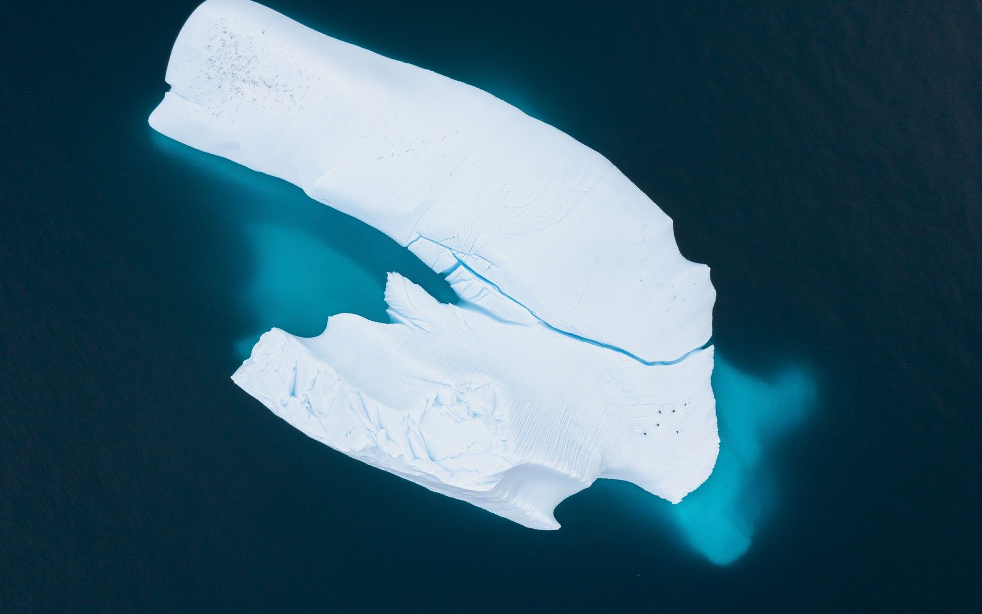 d03c75ef80c4c20cd751c7ed1948b53dd7968a1e