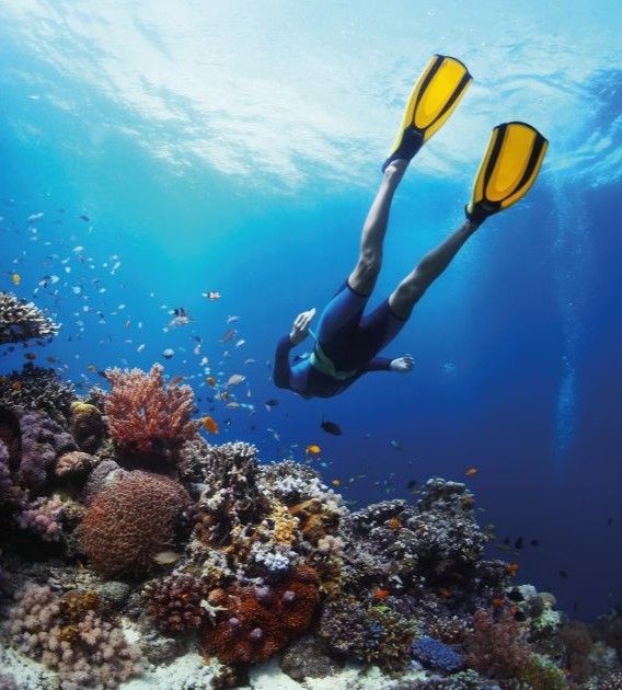 d07ecebdb65751f4fb54ef8e97565bbef93c8b49