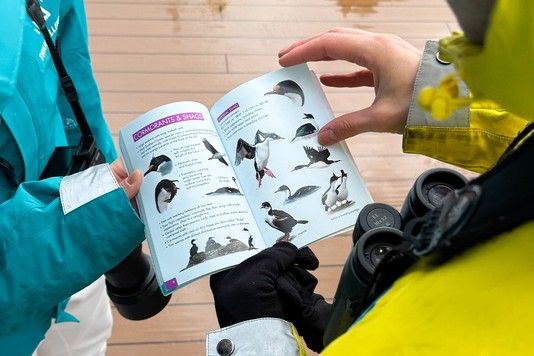 d526bea2df256a2f6af8895aced493d0676ee6a4