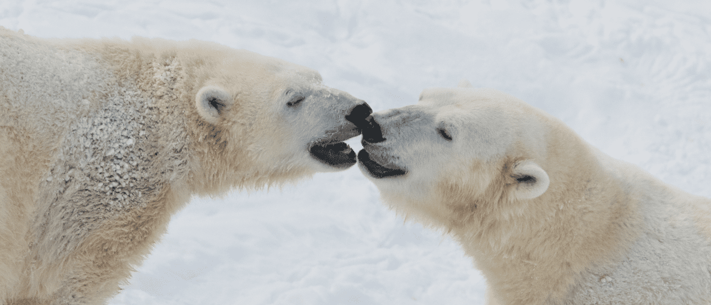 d6ba18066cabe742a568626098799ec7caaa9070