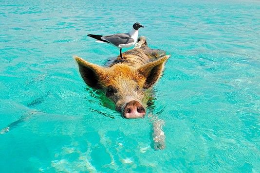 d775452f3e60fd20eb38f5e52fad4fb11eb8e8d9