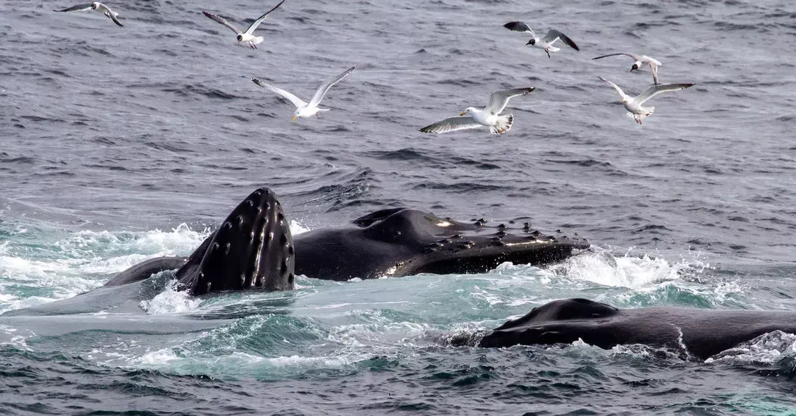 d8290f4b4ef154f823a8500394e2f3e200aa710a