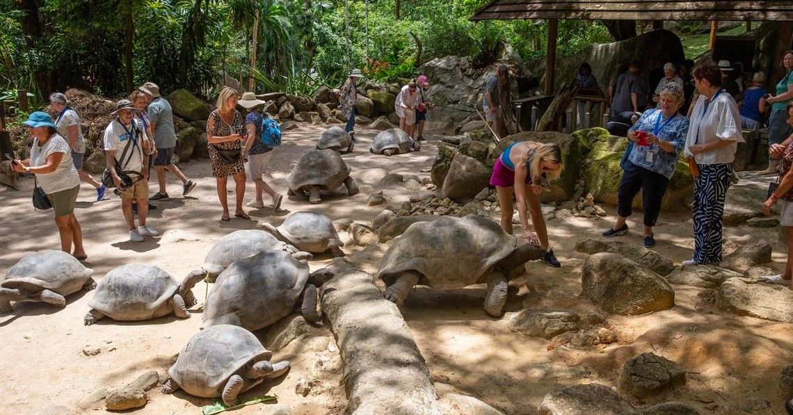 dd88e6082479de63b8029d81256c75323aaf216e