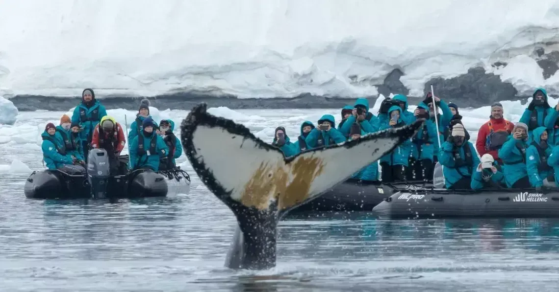 e22119e8f65081cb170cc54e2a37f00a374b40c4