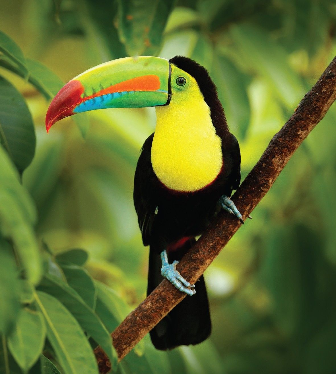 e31d09ec1720f3a515ca023ecb0e4469947359f4