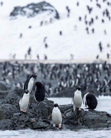 e38dbf3dc0ec3506280f4b3b18017f64667dc405