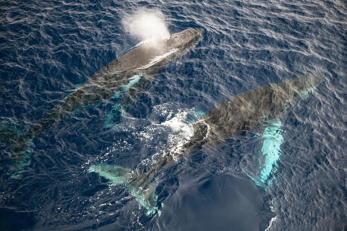 e8fe96a90bb704703d34435791381bd595ef822c