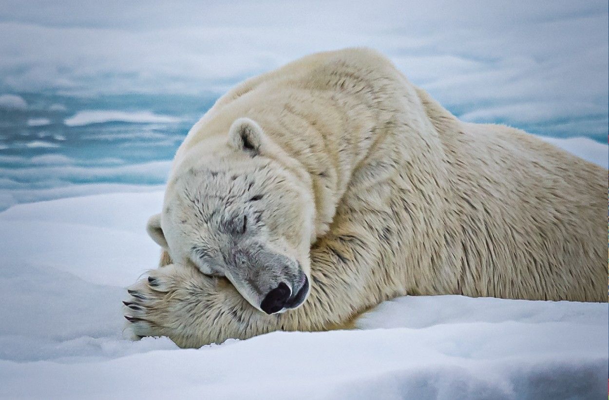 e93518ae074db4acb16b486ed93675bcb02ac07a