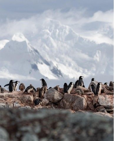 e99b225889585acdde20b1cc9564162725ab90e2