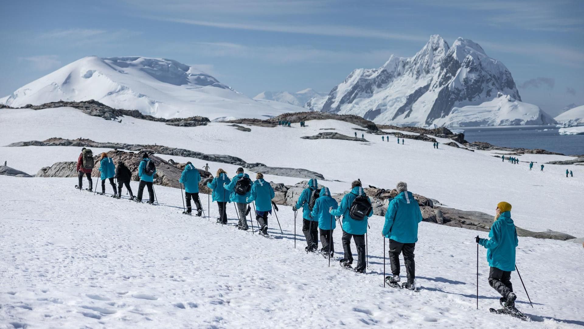 ef0a1b97e4ea658ddd15a629384a5ffe316f8658