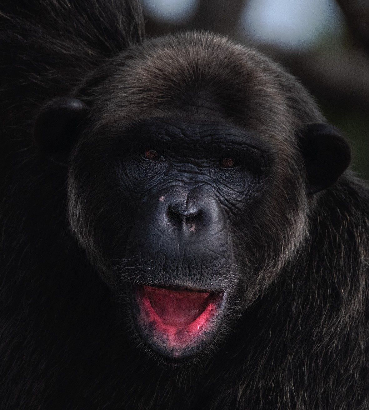 f23337c0570b15198d99c59a11c602a18c8cf1af