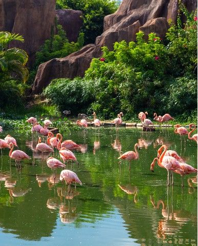 f270c25e7a52a1816cac95f8f4a4e24a7c4afbec