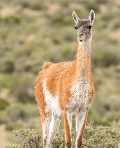 f422c5a502b8cadbcadbed395dcdda14f543de91