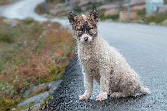 f5d075570ee7291c4b85fc1c1462810bc04aee37