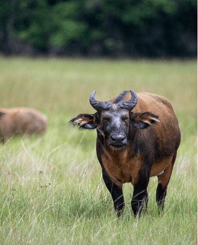 f92d7d2d7f3365feff6dbe251736cd91a98999ba