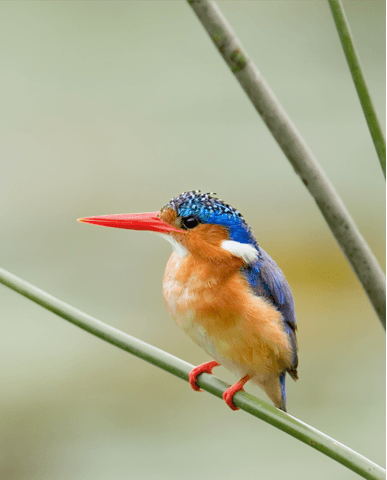 fad8ab8ad10e34f61ebd74538ce5d0ce7f89adb0