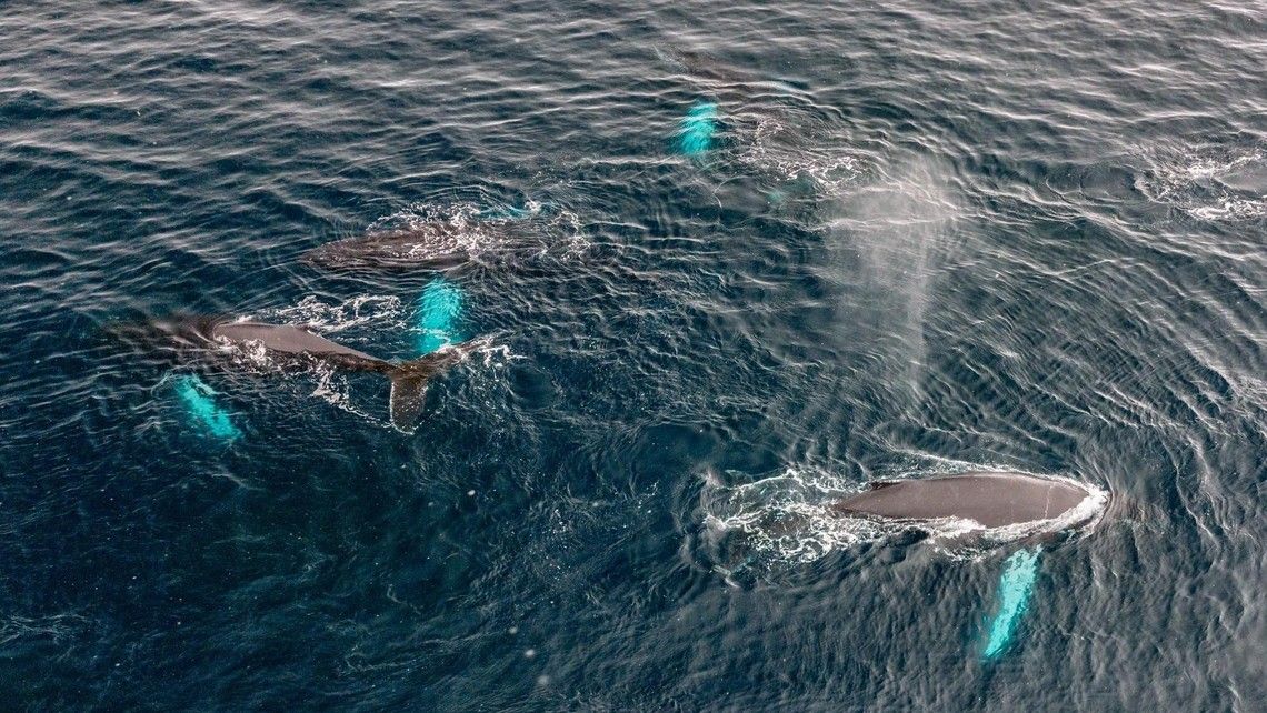 fb9470b131d3bd706d26fe4461b5ba71197174e4